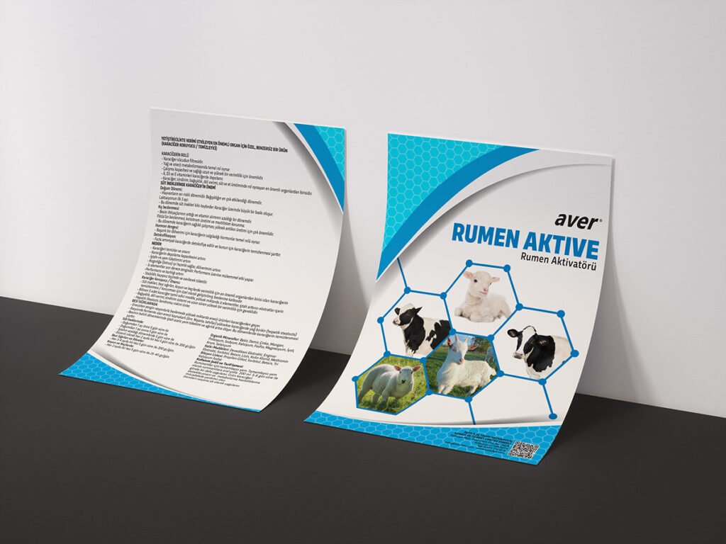 Double Sided 4x6 Inch Flyer Mockup by Anthony Boyd Graphics